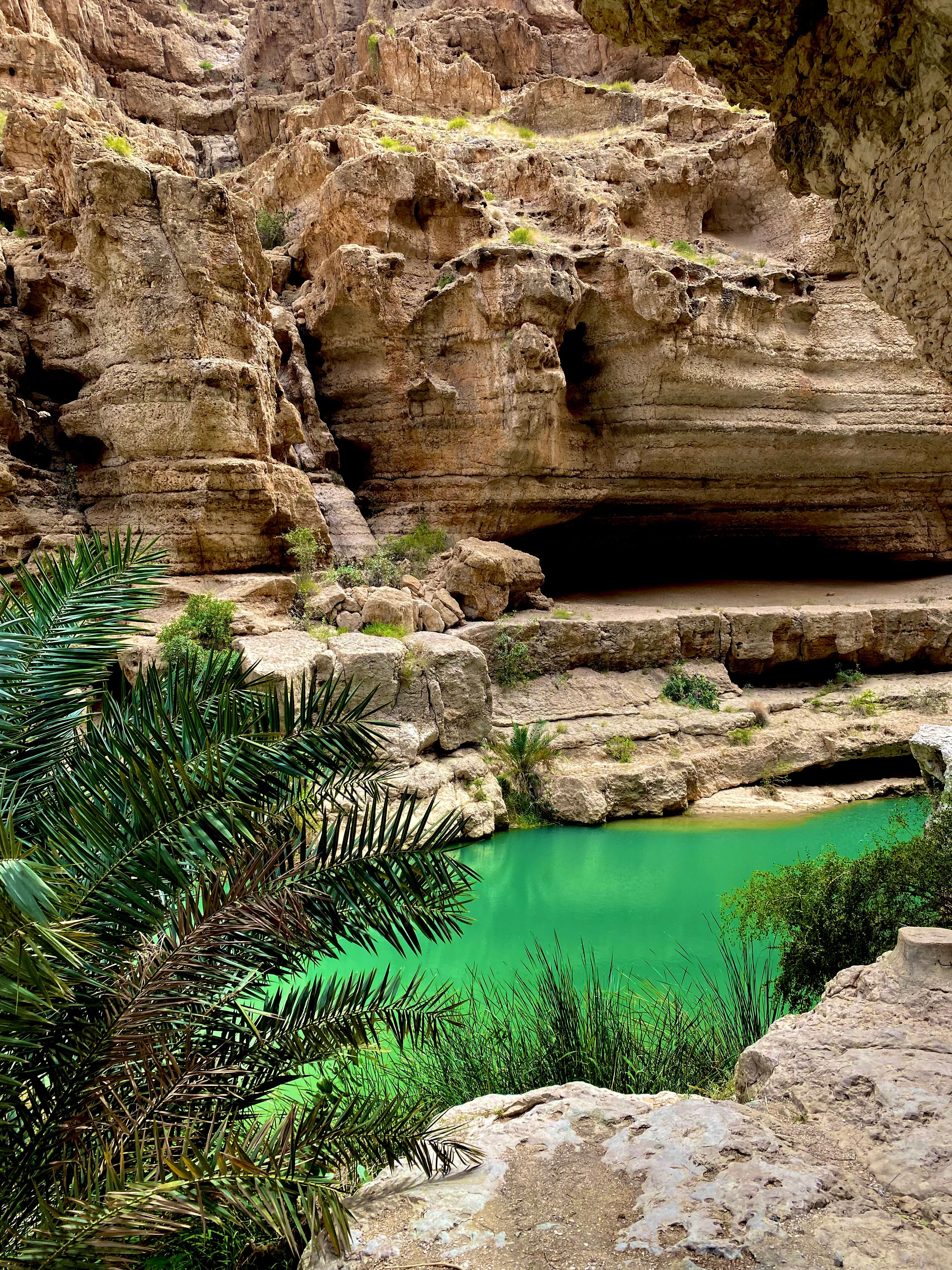 Hidden turquoise oasis pool in a desert canyon, Oman